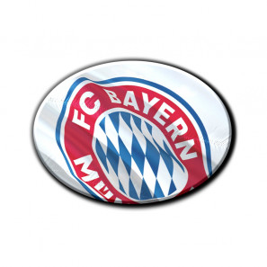 Ovale Fotomagnete 5.5 cm x 4 cm